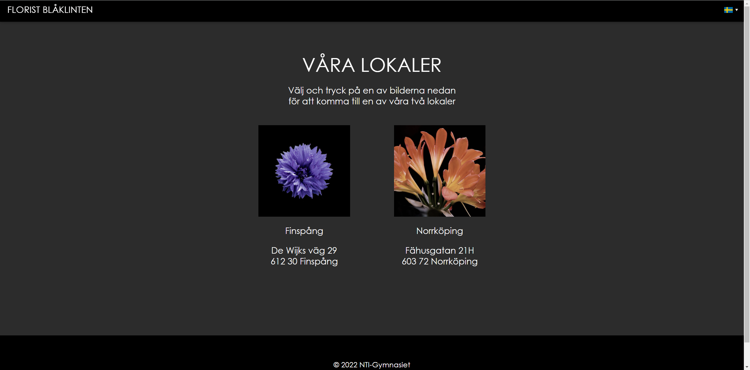 Image of the Florist website